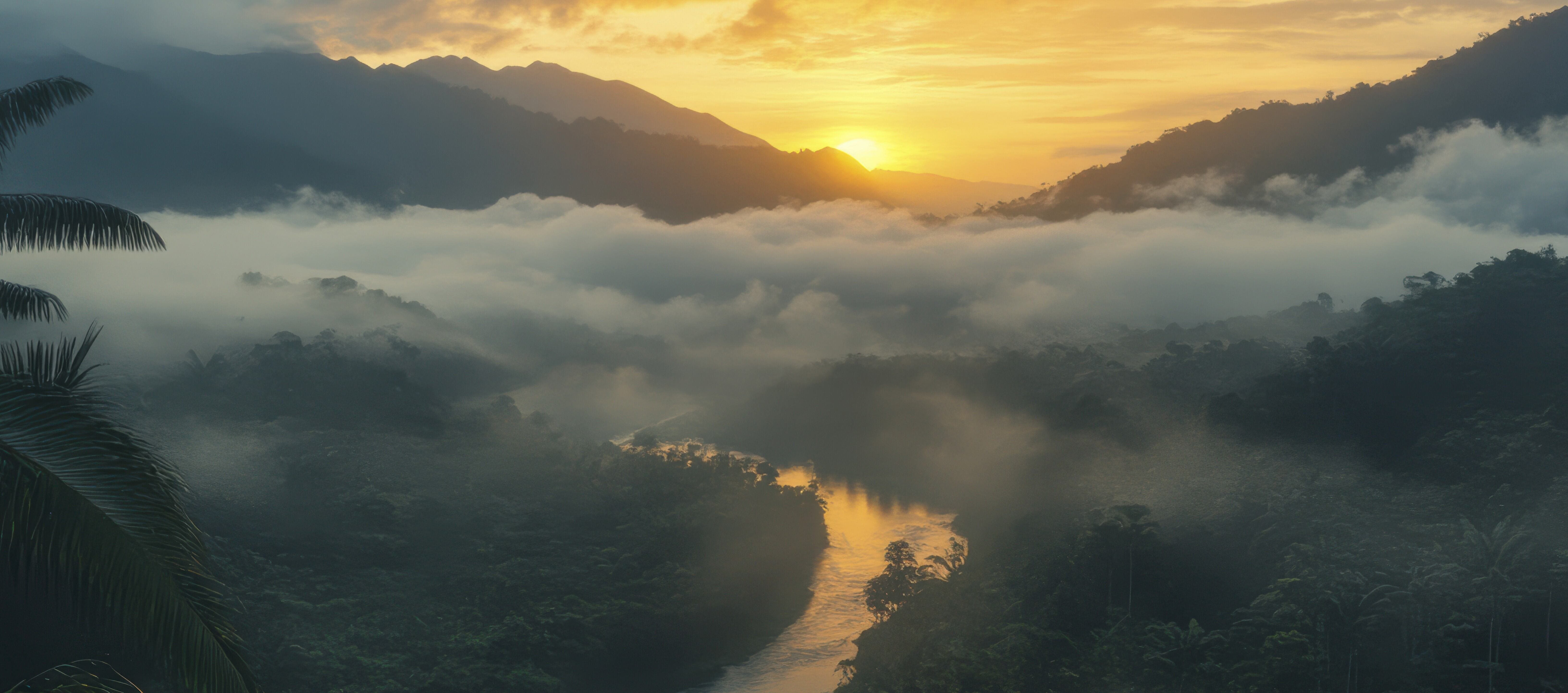 Климат и экология