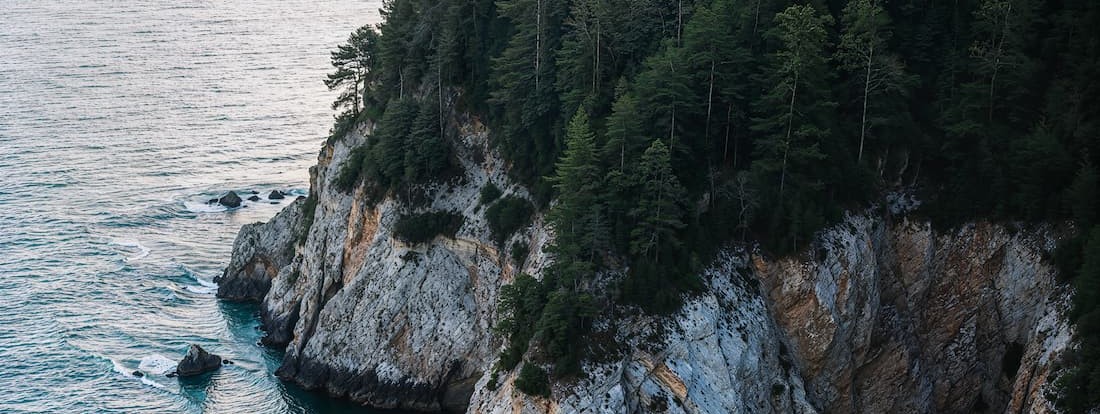 Биоразнообразие территорий