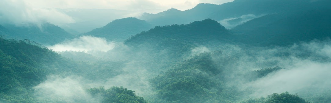 Взаимодействие с заинтересованными сторонами