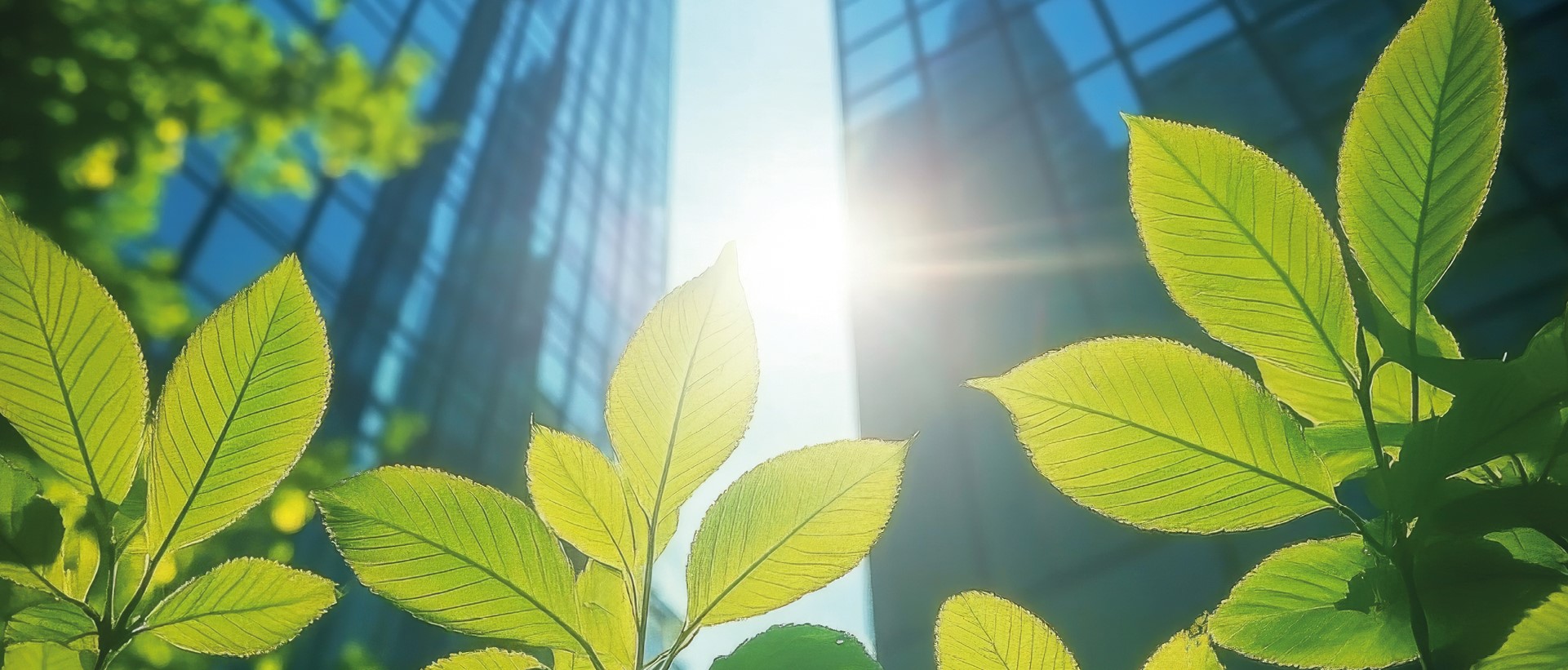 Развитие инфраструктуры и городской среды